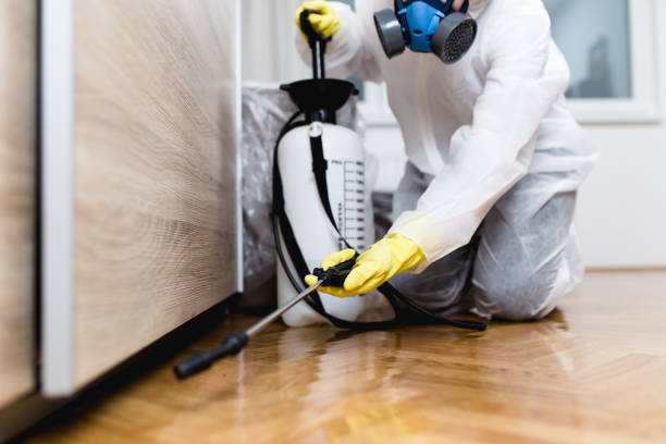 Best Wasp Removal Services  in Waikapu, HI
