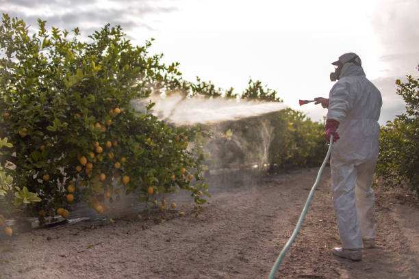 Pest Control Cost in Waikapu, HI