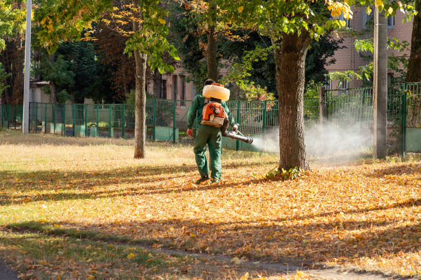 Wildlife Control Services in Waikapu, HI